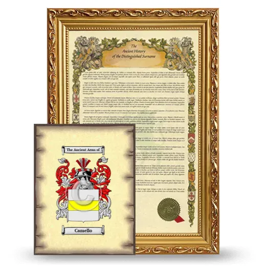 Camello Framed History and Coat of Arms Print - Gold