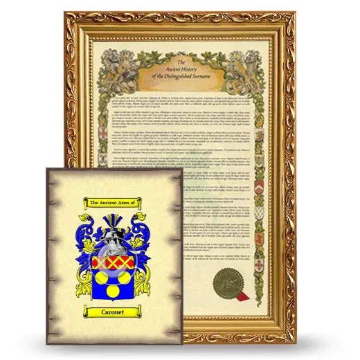 Caronet Framed History and Coat of Arms Print - Gold