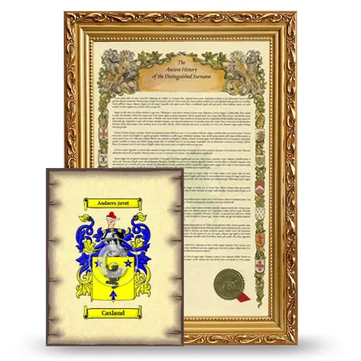 Casland Framed History and Coat of Arms Print - Gold