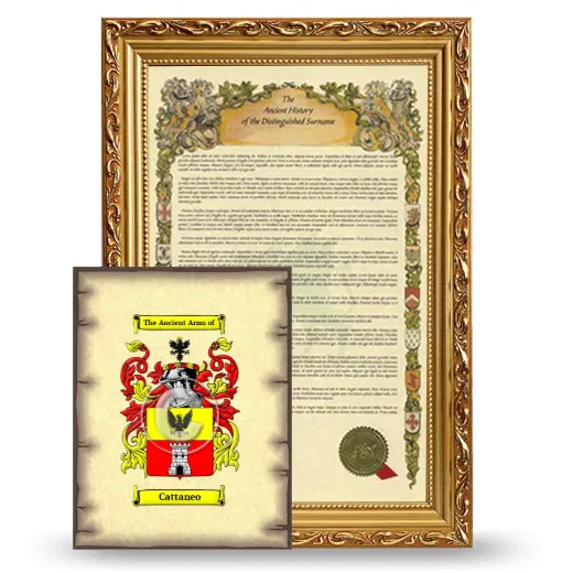 Cattaneo Framed History and Coat of Arms Print - Gold