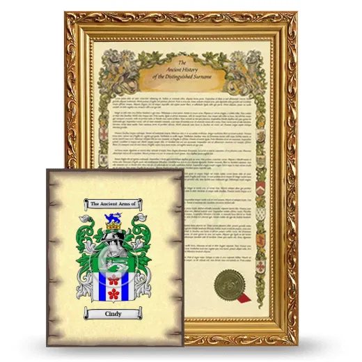 Cindy Framed History and Coat of Arms Print - Gold