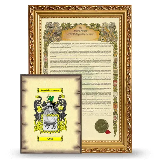 Cole Framed History and Coat of Arms Print - Gold