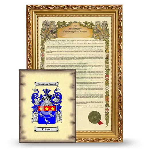 Colomb Framed History and Coat of Arms Print - Gold