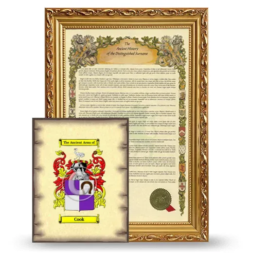 Cook Framed History and Coat of Arms Print - Gold