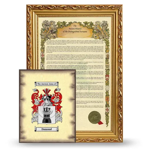 Damond Framed History and Coat of Arms Print - Gold
