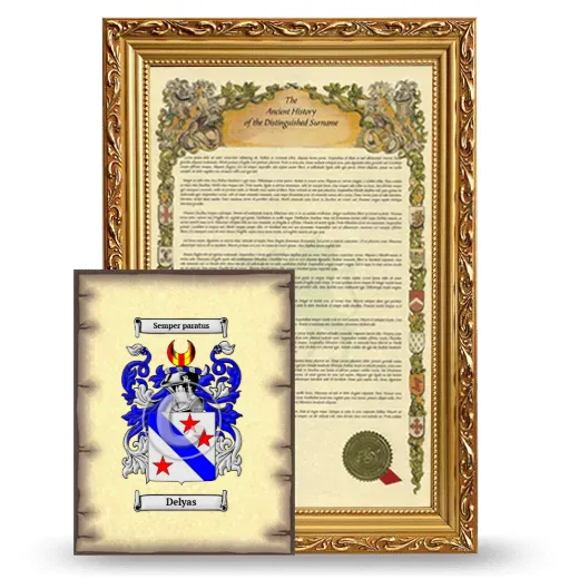 Delyas Framed History and Coat of Arms Print - Gold