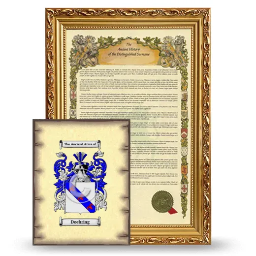 Doehring Framed History and Coat of Arms Print - Gold