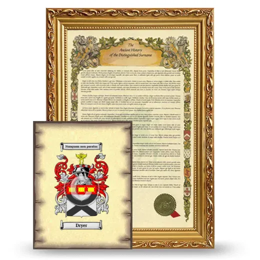 Dryer Framed History and Coat of Arms Print - Gold