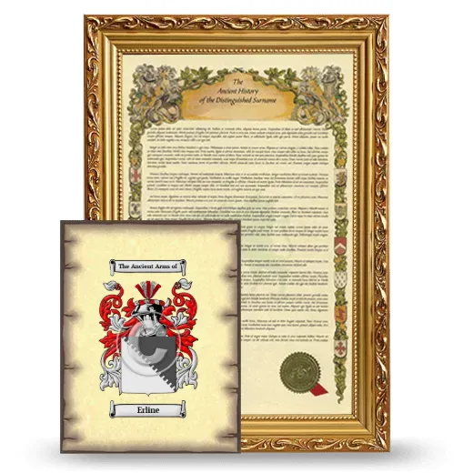 Erline Framed History and Coat of Arms Print - Gold