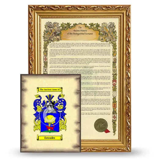 Estrader Framed History and Coat of Arms Print - Gold