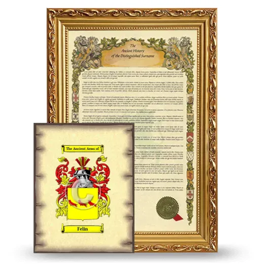 Felin Framed History and Coat of Arms Print - Gold