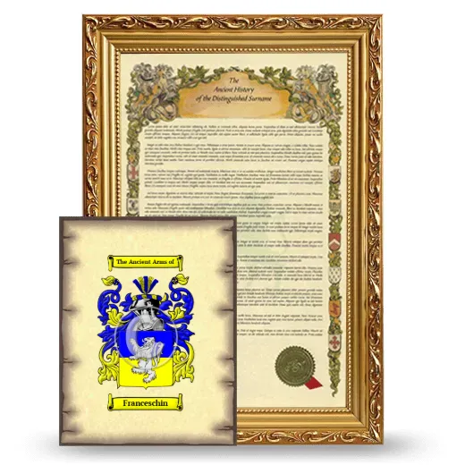 Franceschin Framed History and Coat of Arms Print - Gold