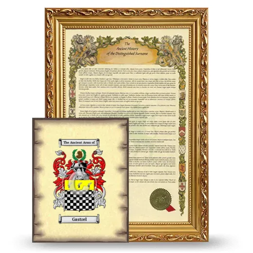 Gastrel Framed History and Coat of Arms Print - Gold