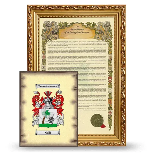 Gelli Framed History and Coat of Arms Print - Gold