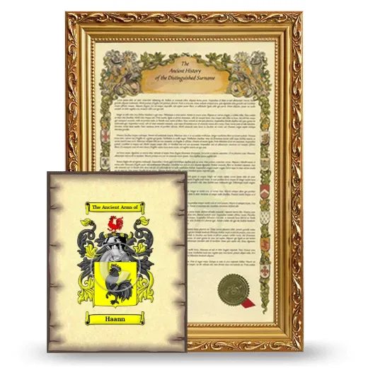 Haann Framed History and Coat of Arms Print - Gold