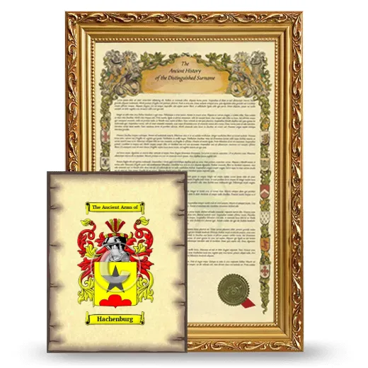 Hachenburg Framed History and Coat of Arms Print - Gold