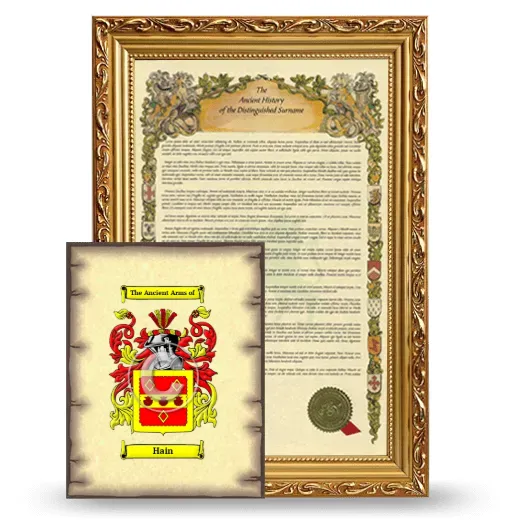 Hain Framed History and Coat of Arms Print - Gold