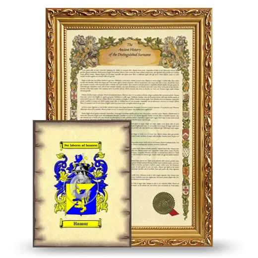 Hamur Framed History and Coat of Arms Print - Gold