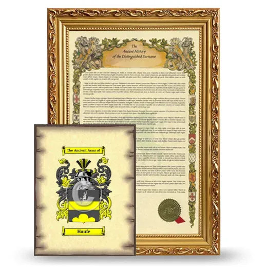 Haufe Framed History and Coat of Arms Print - Gold
