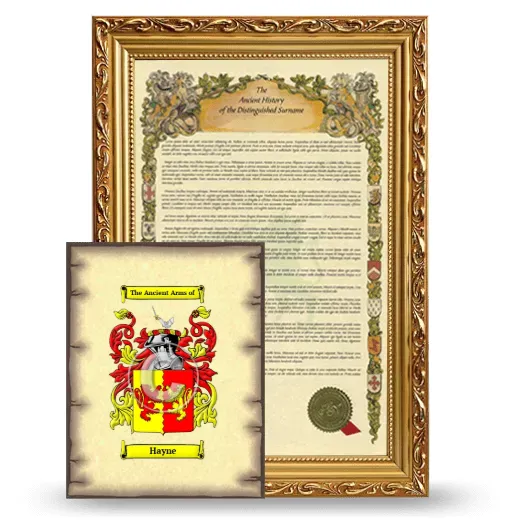 Hayne Framed History and Coat of Arms Print - Gold
