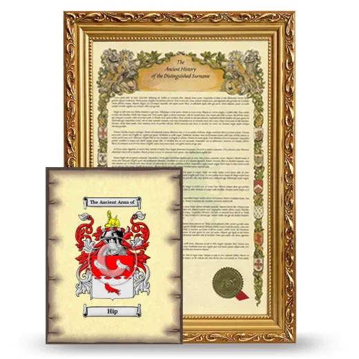 Hip Framed History and Coat of Arms Print - Gold