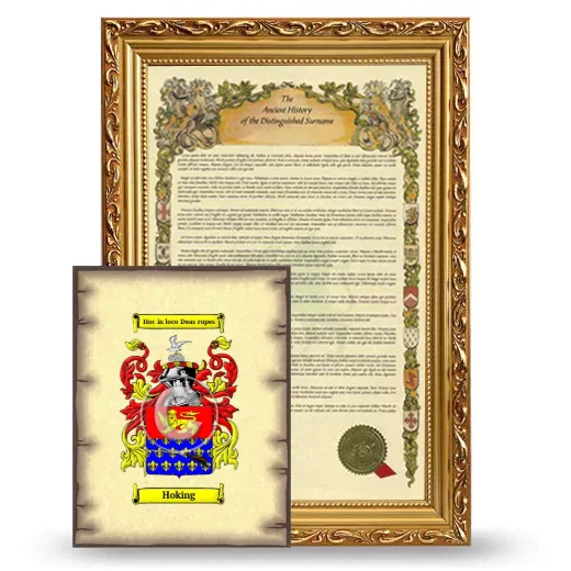Hoking Framed History and Coat of Arms Print - Gold