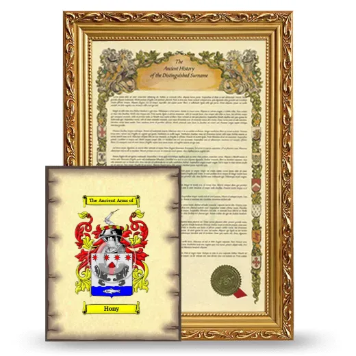 Hony Framed History and Coat of Arms Print - Gold