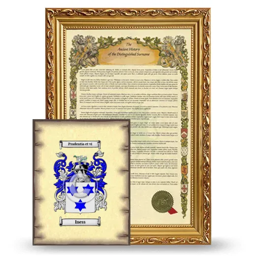 Iness Framed History and Coat of Arms Print - Gold
