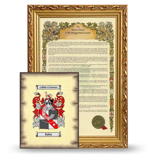 Kaley Framed History and Coat of Arms Print - Gold