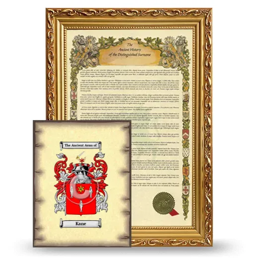Kane Framed History and Coat of Arms Print - Gold