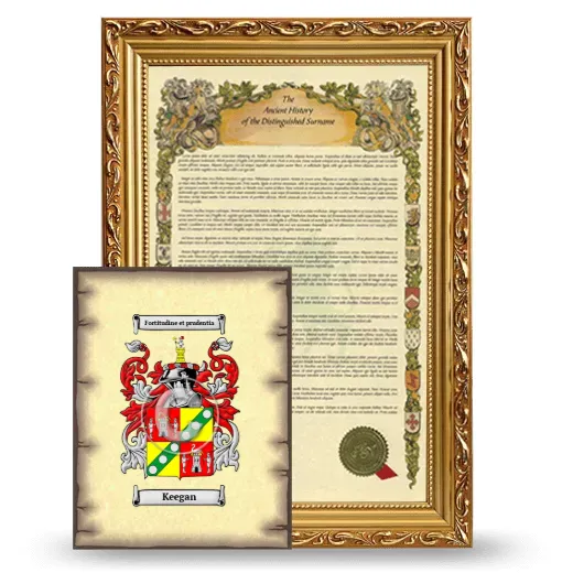 Keegan Framed History and Coat of Arms Print - Gold