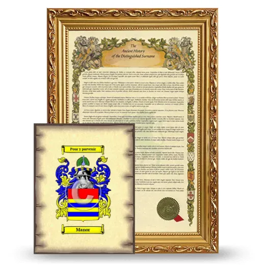 Manor Framed History and Coat of Arms Print - Gold