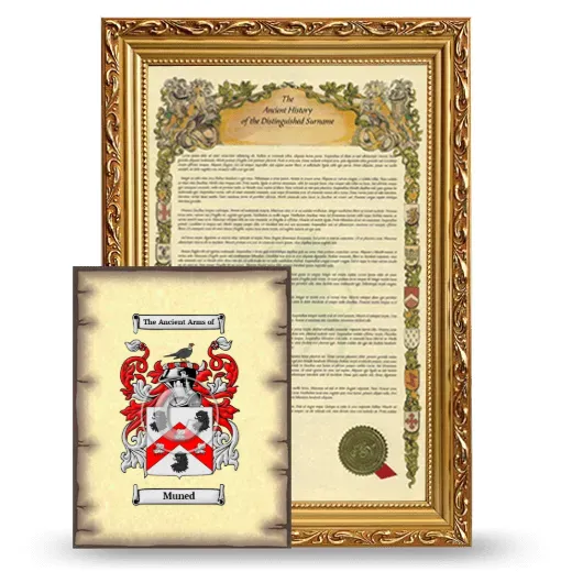 Muned Framed History and Coat of Arms Print - Gold