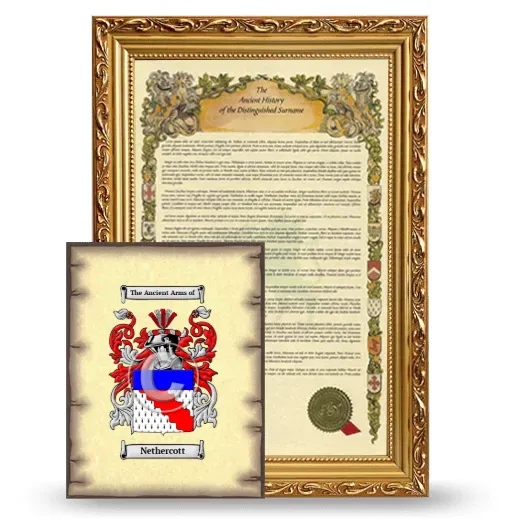 Nethercott Framed History and Coat of Arms Print - Gold