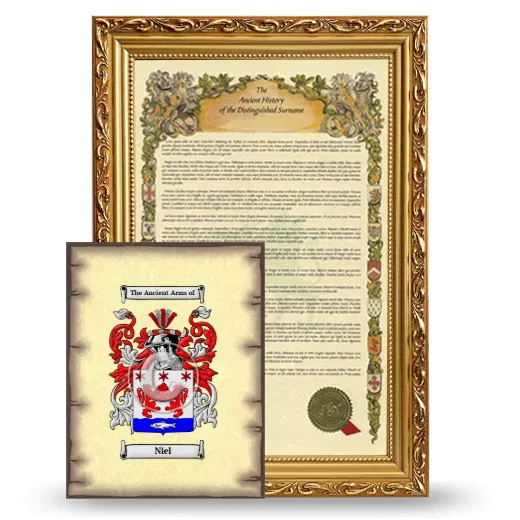 Niel Framed History and Coat of Arms Print - Gold