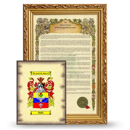 Nofri Framed History and Coat of Arms Print - Gold
