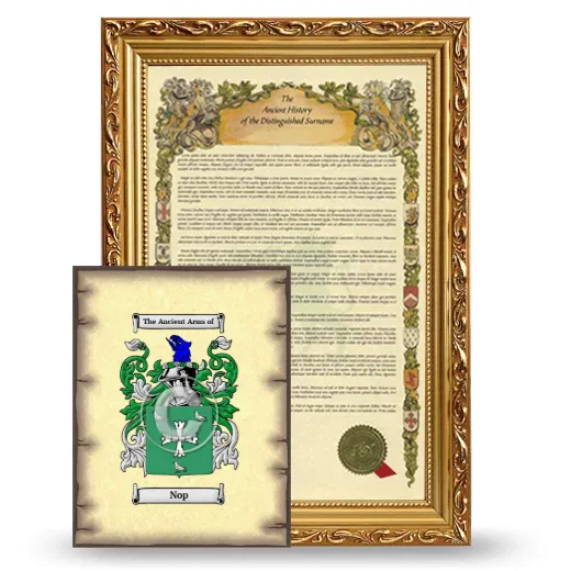 Nop Framed History and Coat of Arms Print - Gold