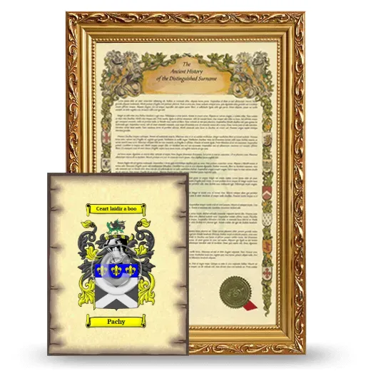 Pachy Framed History and Coat of Arms Print - Gold