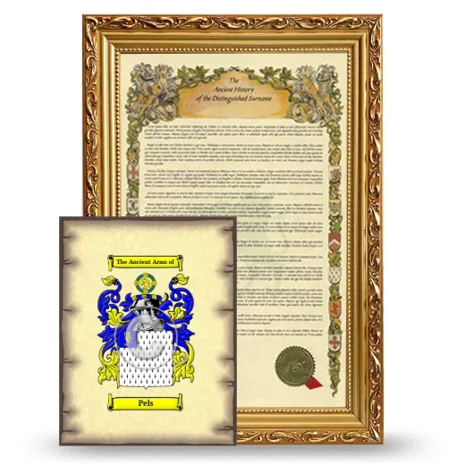 Pels Framed History and Coat of Arms Print - Gold