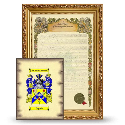 Popple Framed History and Coat of Arms Print - Gold