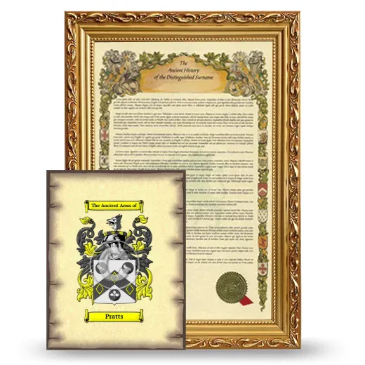 Pratts Framed History and Coat of Arms Print - Gold