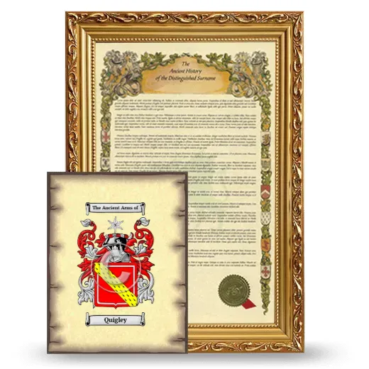 Quigley Framed History and Coat of Arms Print - Gold