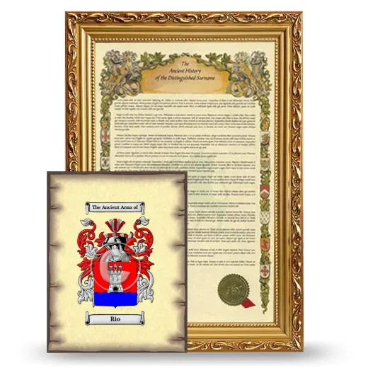 Rio Framed History and Coat of Arms Print - Gold