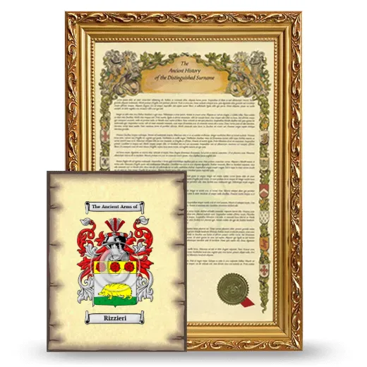 Rizzieri Framed History and Coat of Arms Print - Gold