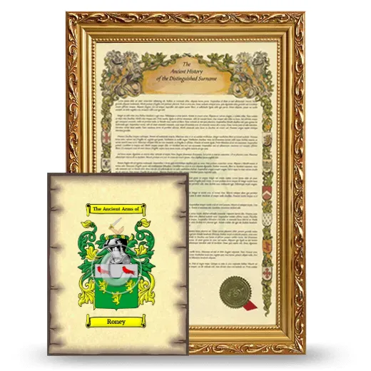 Roney Framed History and Coat of Arms Print - Gold