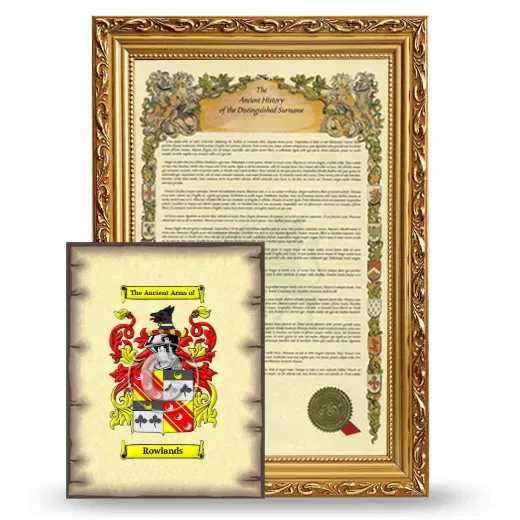 Rowlands Framed History and Coat of Arms Print - Gold