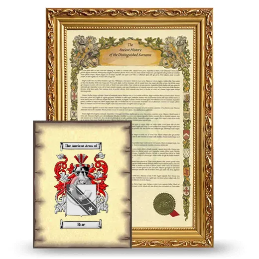 Rue Framed History and Coat of Arms Print - Gold