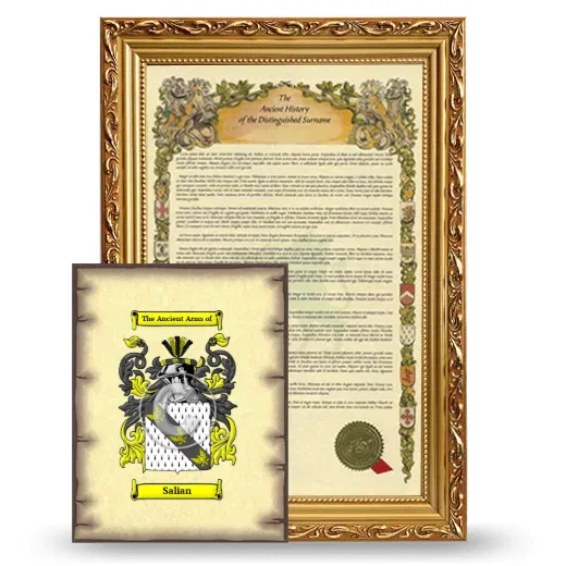 Salian Framed History and Coat of Arms Print - Gold
