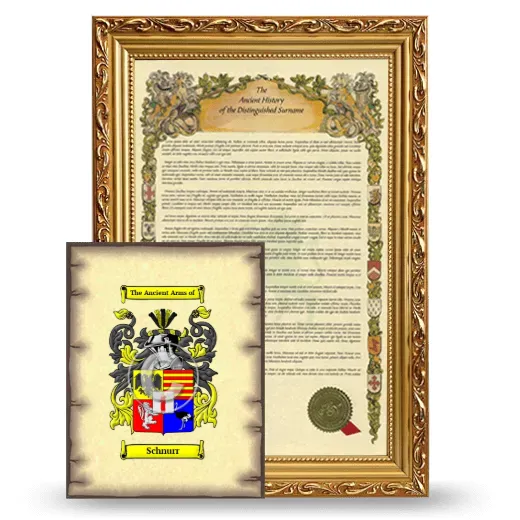 Schnurr Framed History and Coat of Arms Print - Gold