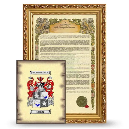 Schultz Framed History and Coat of Arms Print - Gold